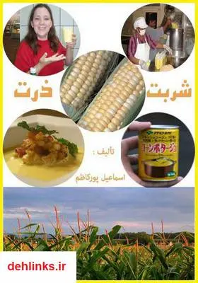 دانلود pdf کتاب شربت ذرت اسماعیل پورکاظم