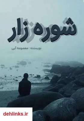 دانلود pdf کتاب رمان شوره زار معصومه آبی