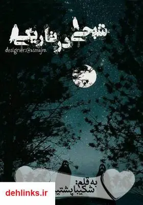 دانلود pdf کتاب رمان شبحی در تاریکی شکیبا پشتیبان