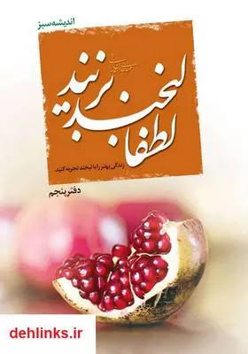 دانلود pdf کتاب لطفا لبخند بزنید مهدی خدامیان آرانی