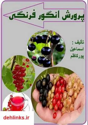 دانلود pdf کتاب پرورش انگور فرنگی اسماعیل پورکاظم