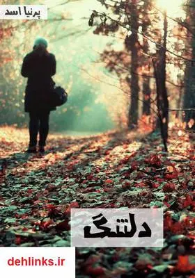 دانلود pdf کتاب رمان دلتنگ پرنیا اسد