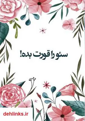 دانلود pdf کتاب سئو را قورت بده!