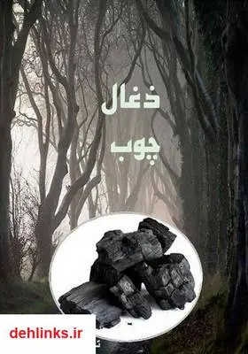 دانلود pdf کتاب زغال چوب اسماعیل پورکاظم