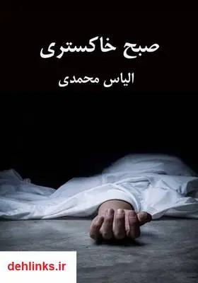 دانلود pdf کتاب صبح خاکستری الیاس محمدی