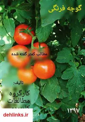 دانلود pdf کتاب گوجه فرنگی، مطالب کمتر گفته شده