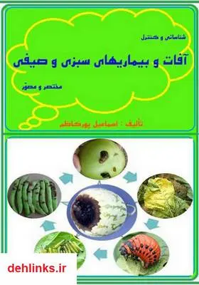 دانلود pdf کتاب شناسایی: کنترل آفات و بیماری‌های سبزی و صیفی اسماعیل پورکاظم