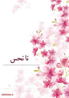 دانلود pdf کتاب رمان نانحس