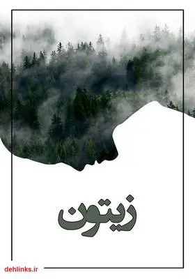 دانلود pdf کتاب رمان زیتون