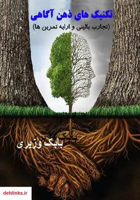 دانلود pdf کتاب تکنیک‌های ذهن‌آگاهی بابک وزیری