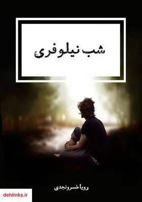 دانلود pdf کتاب رمان شب نیلوفری رویا خسرونجدی