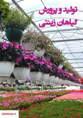 دانلود pdf کتاب تولید و پرورش گیاهان زینتی