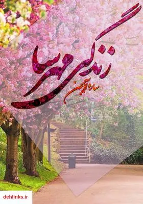 دانلود pdf کتاب رمان زندگی مهرسا ساره آوجین