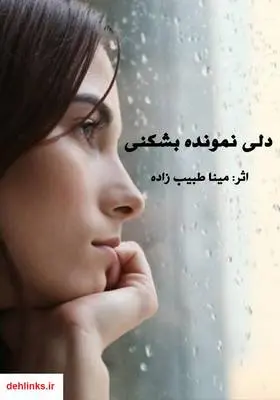 دانلود pdf کتاب رمان دلی نمونده بشکنی مینا طبیب زاده
