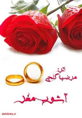 دانلود pdf کتاب رمان آشوب مغز مرضیه گلچی