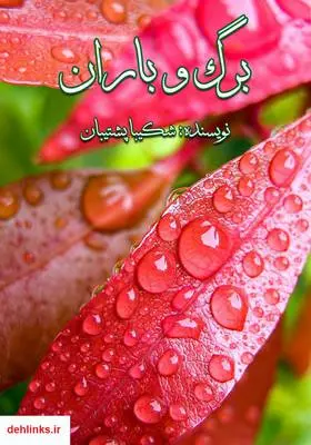 دانلود pdf کتاب رمان برگ و باران شکیبا پشتیبان