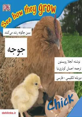 دانلود pdf کتاب جوجه آنجلا رویستون