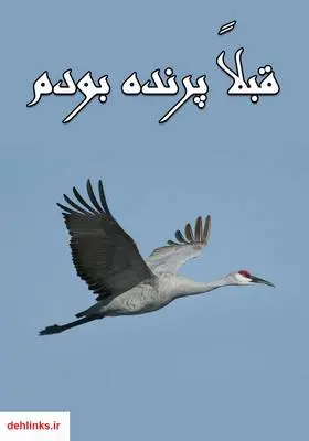 دانلود pdf کتاب قبلاً پرنده بودم