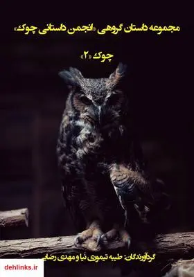 دانلود pdf کتاب مجموعه داستان گروهی چوک 2 مهدی رضایی