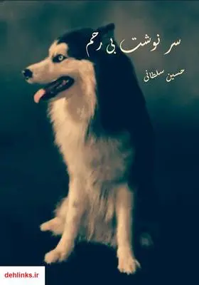 دانلود pdf کتاب سرنوشت بی‌رحم حسین سلطانی