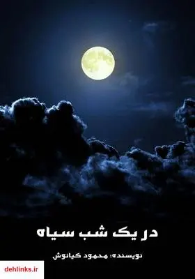 دانلود pdf کتاب رمان در یک شب سیاه محمود کیانوش