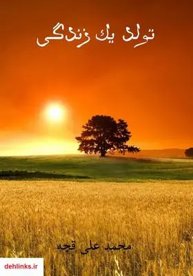 دانلود pdf کتاب تولد یک زندگی محمدعلی قجه