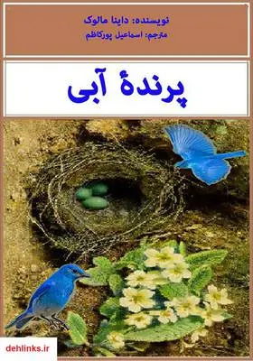 دانلود pdf کتاب پرنده آبی داینا مالوک