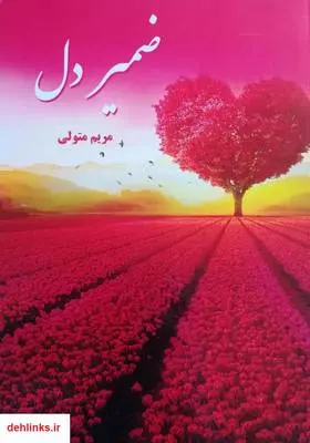 دانلود pdf کتاب ضمیر دل مریم متولی