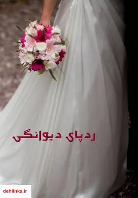 دانلود pdf کتاب رمان ردپای دیوانگی