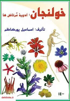 دانلود pdf کتاب خولنجان؛ ادویه مرتاض‌ها اسماعیل پورکاظم
