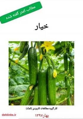 دانلود pdf کتاب خیار، مطالب کمتر گفته شده