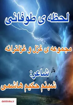 دانلود pdf کتاب لحظه‌ی طوفانی شبنم حکیم هاشمی