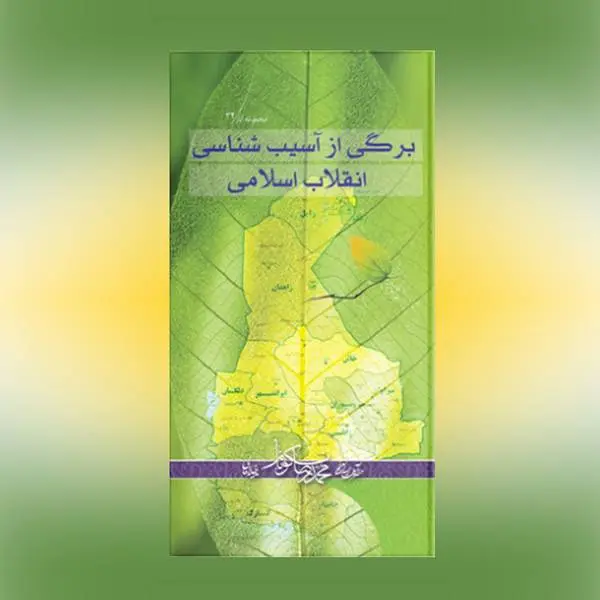 دانلود pdf کتاب برگی از آسیب شناسی انقلاب اسلامی محمدرضا نکونام