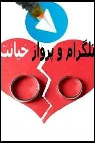 دانلود pdf کتاب  تلگرام و پرواز خیانت  ناشناس رایگان