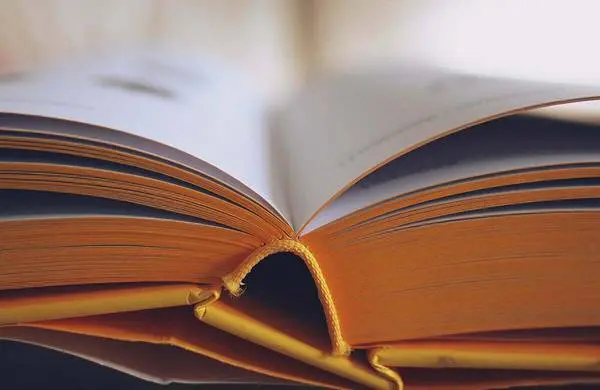 دانلود pdf کتاب مقالات شمس تبریزی