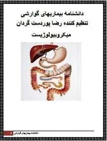دانلود pdf کتاب  دانشنامه بیماری های گوارشی  رضا پوردست گردان رایگان