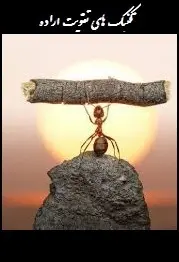 دانلود pdf کتاب  تکنیک های تقویت اراده  سجاد شاهرخی رایگان