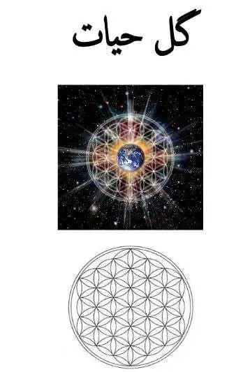 دانلود pdf کتاب گل حیات انی کاظمی