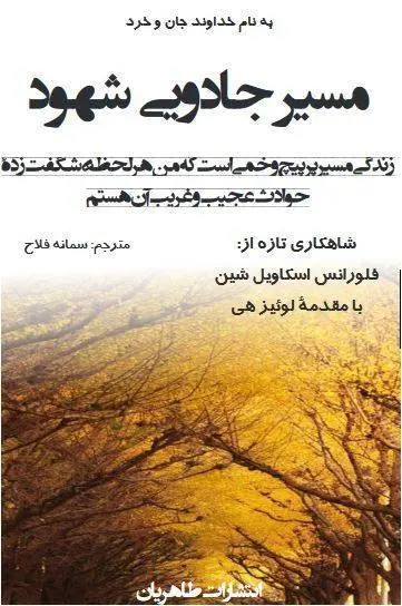 دانلود pdf کتاب مسیر جادویی شهود فلورانس اسکاول شین