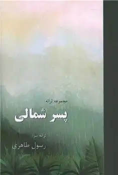 دانلود pdf کتاب پسر شمالی رسول طاهری