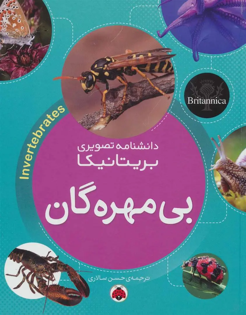 دانلود pdf کتاب بی مهره گان 