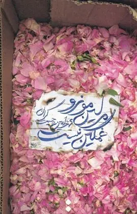 دانلود pdf کتاب مرلین مونرو غمگین نیست محمدامین چیت گران