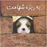 دانلود pdf کتاب یه ریزه شهامت بردلی ترور گریو