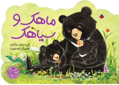 دانلود pdf کتاب ماهک و سیاهک علی اصغر سیدآبادی