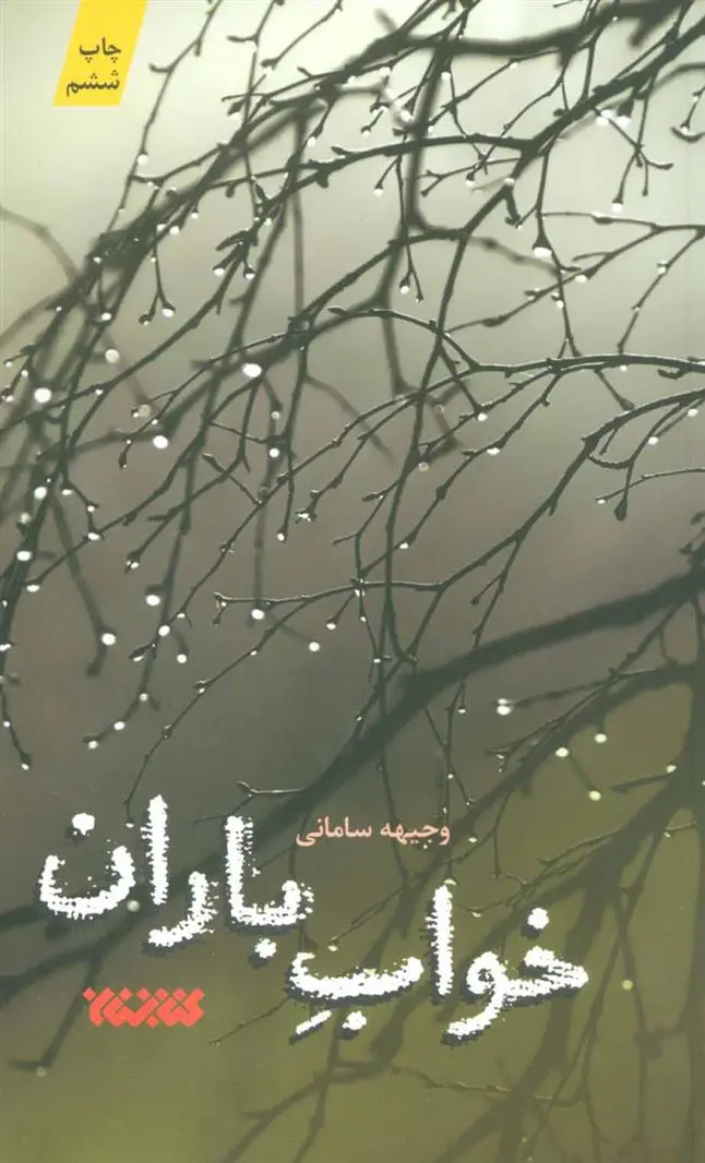دانلود pdf کتاب خواب باران وجیهه سامانی
