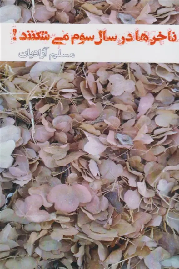 دانلود pdf کتاب ناخن ها در سال سوم می شکنند! مسلم آزادیان