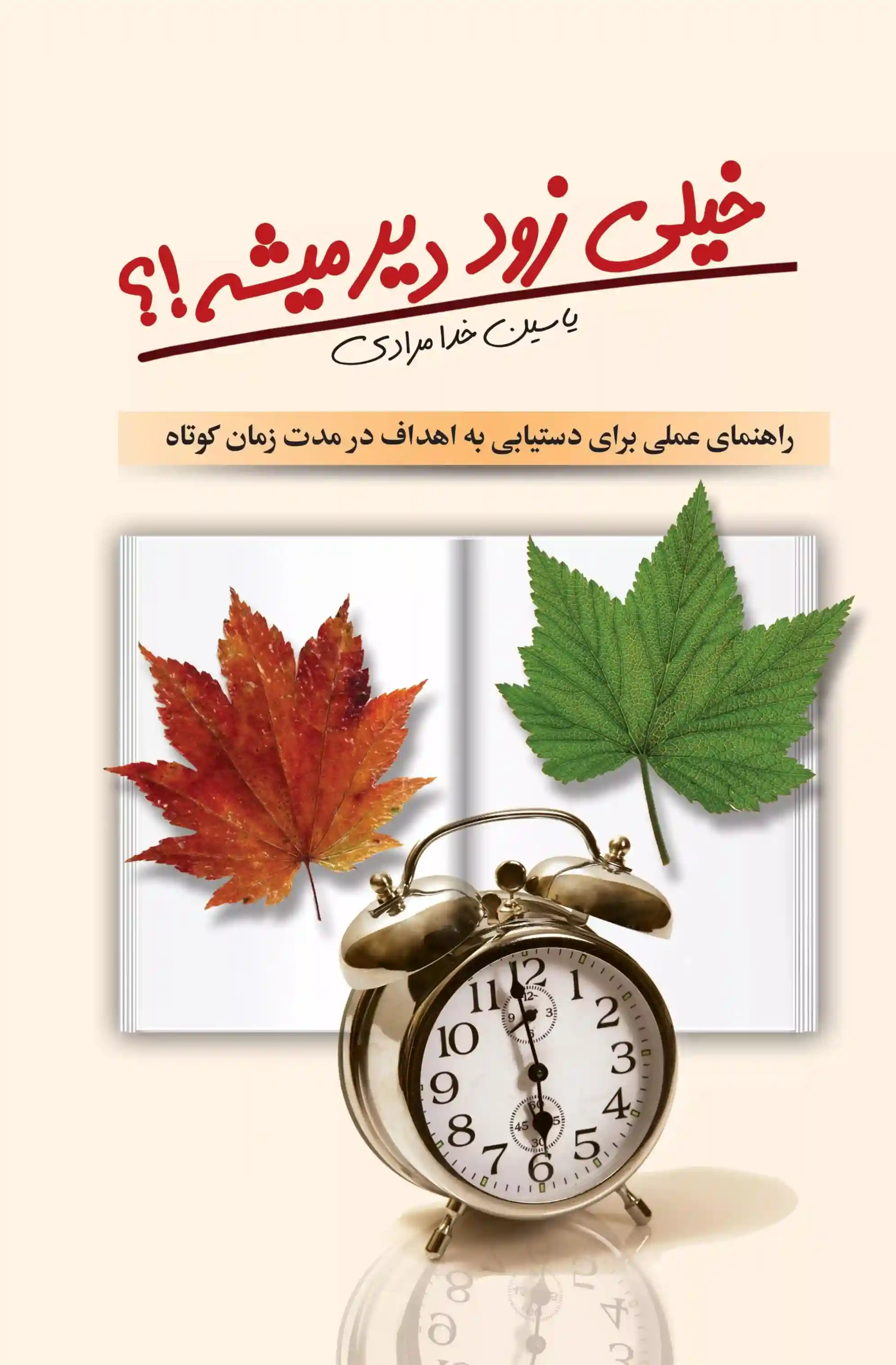 دانلود pdf کتاب خیلی زود دیر میشه!؟ یاسین خدامرادی