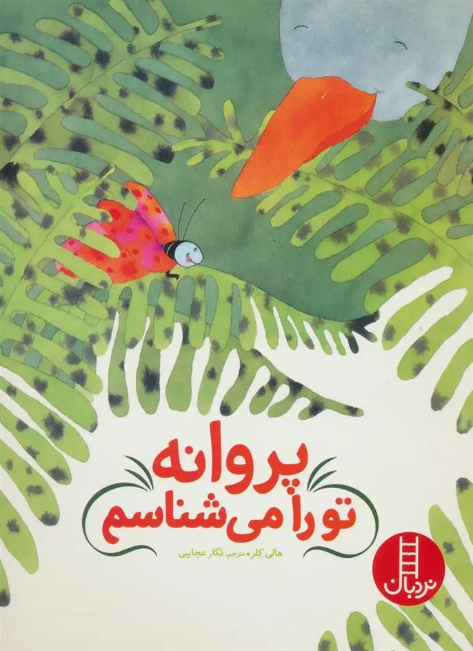 دانلود pdf کتاب پروانه تو را می شناسم هالی کلر