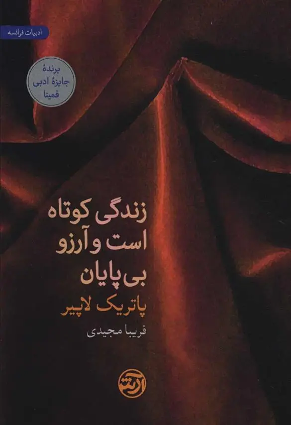 دانلود pdf کتاب زندگی کوتاه است و آرزو بی پایان پاتریک لاپیر