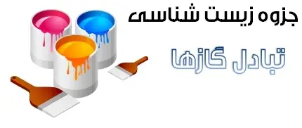 دانلود pdf جزوه زیست شناسی مبحث تبادل گازها رایگان | ویژه کنکور
